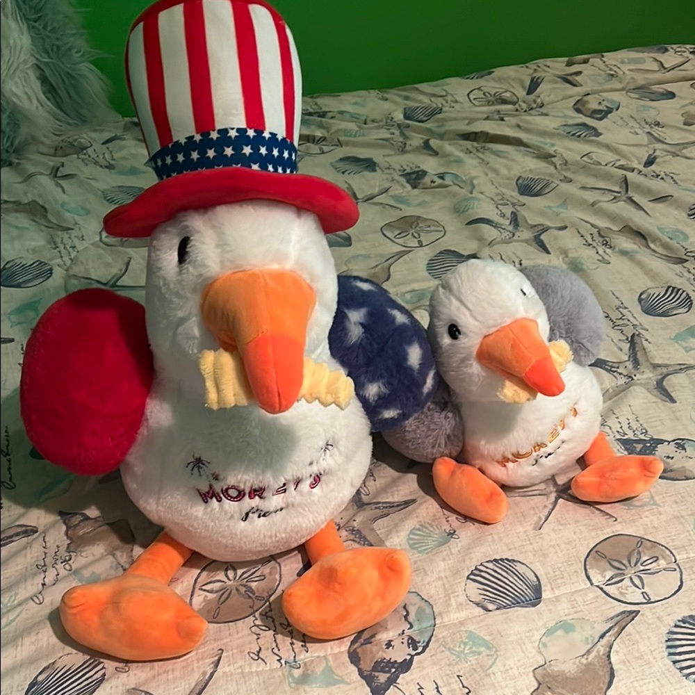 Moreys pier Sunny the seagull Bird Duo